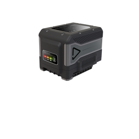 磷酸铁鲤电池-6000mAH